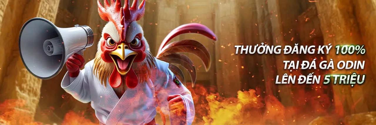 Các chương trình khuyến mãi và ưu đãi của 8kbey